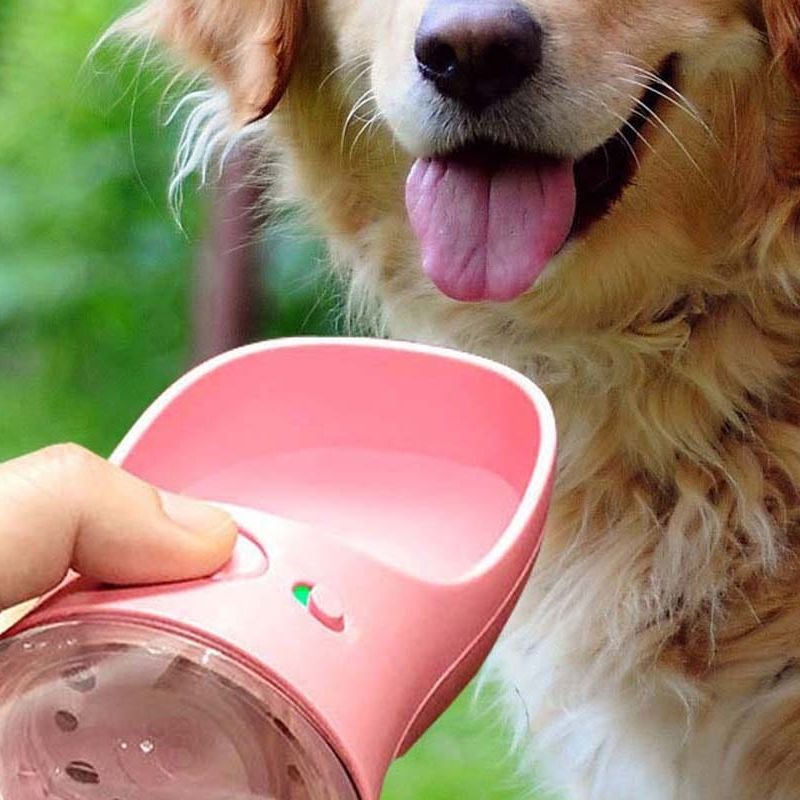 Leak-Proof Dog Bowl Water Bottle