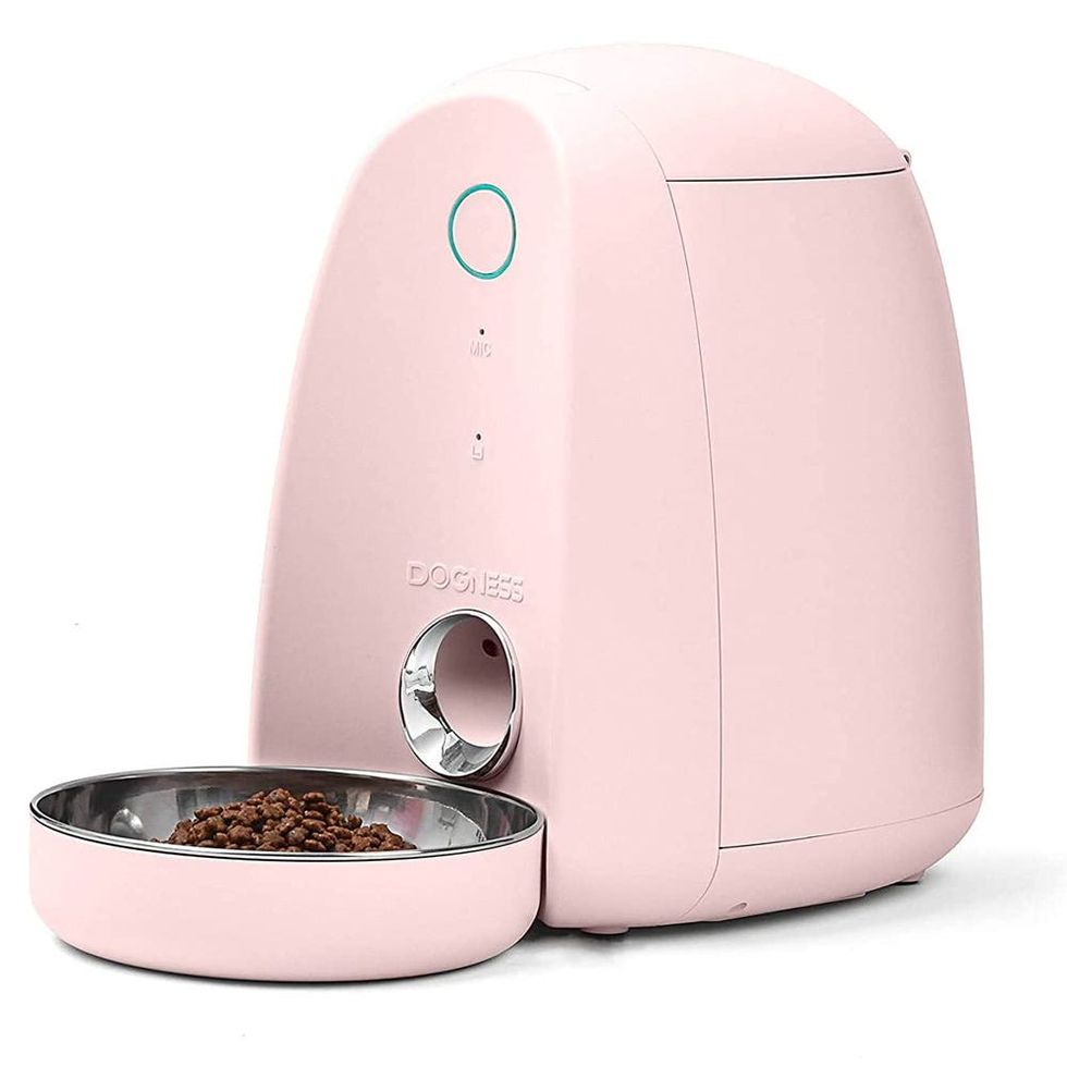 Best Automatic Pet Feeders 2022