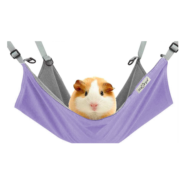 Best guinea pig top accessories