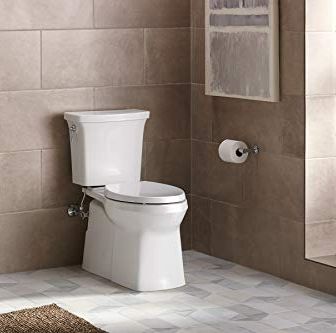 5 Best Toilets (2024 Guide) - This Old House