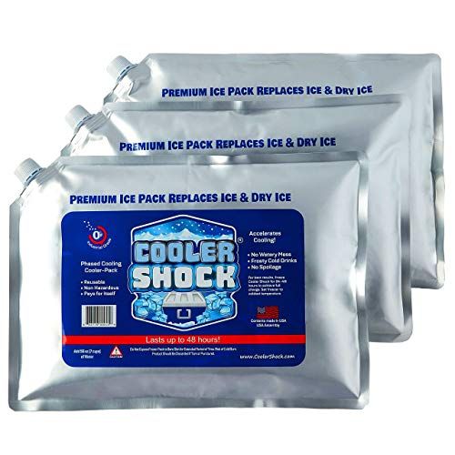 Fit and Fresh Cool Coolers Reusable Ice Packs - 4 pk - Blue, 4 pk