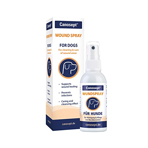 Spray para heridas de perros