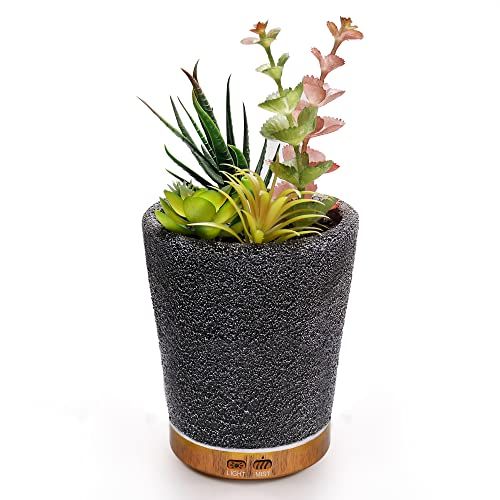 TAOYANG Artificial Succulent Potted Oil Diffuser