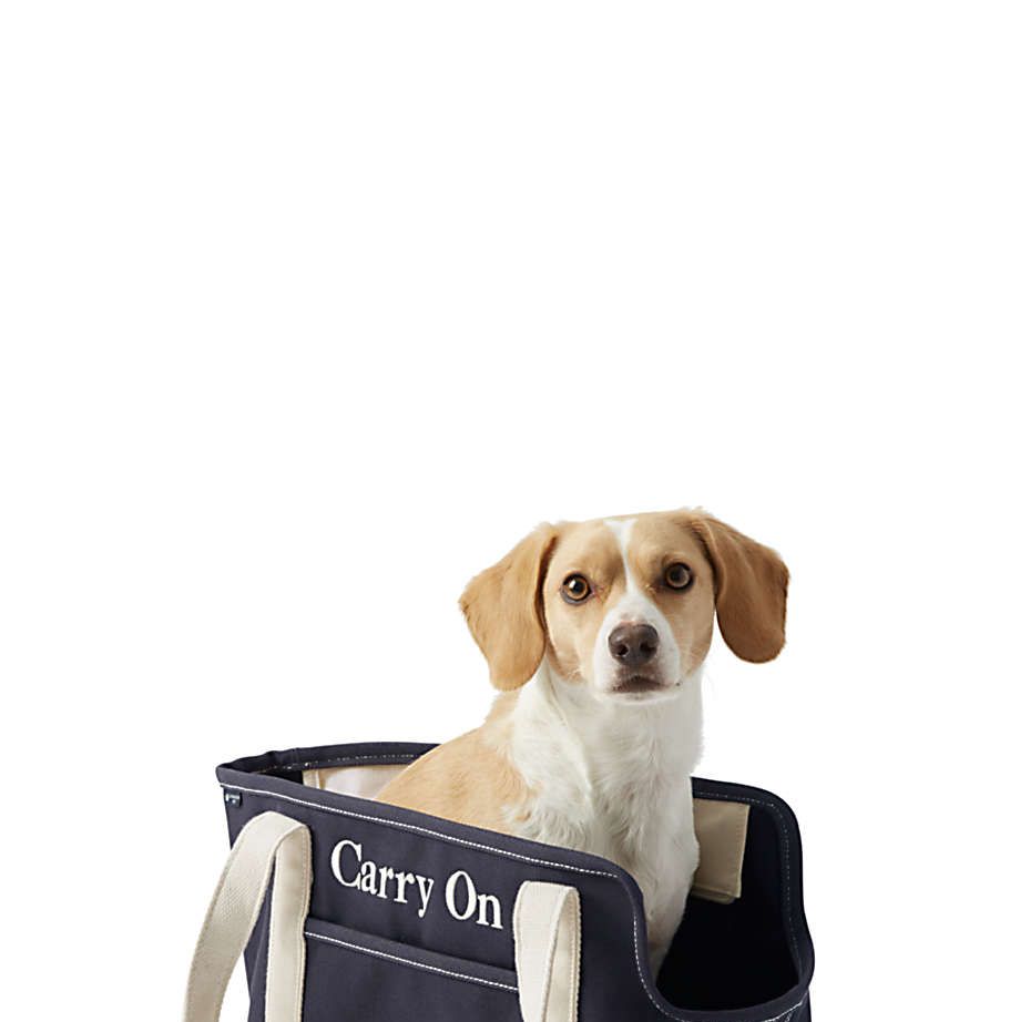 The 11 Best Dog Carriers of 2024, Tested and Reviewed