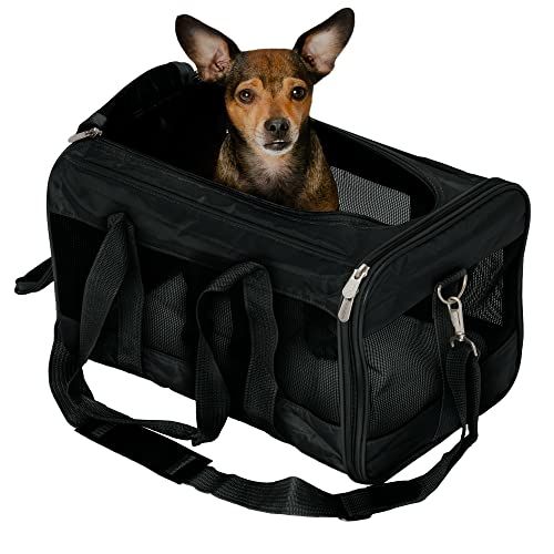 Dog carrier, pet dog carrier, pet bag, best dog carrier summer