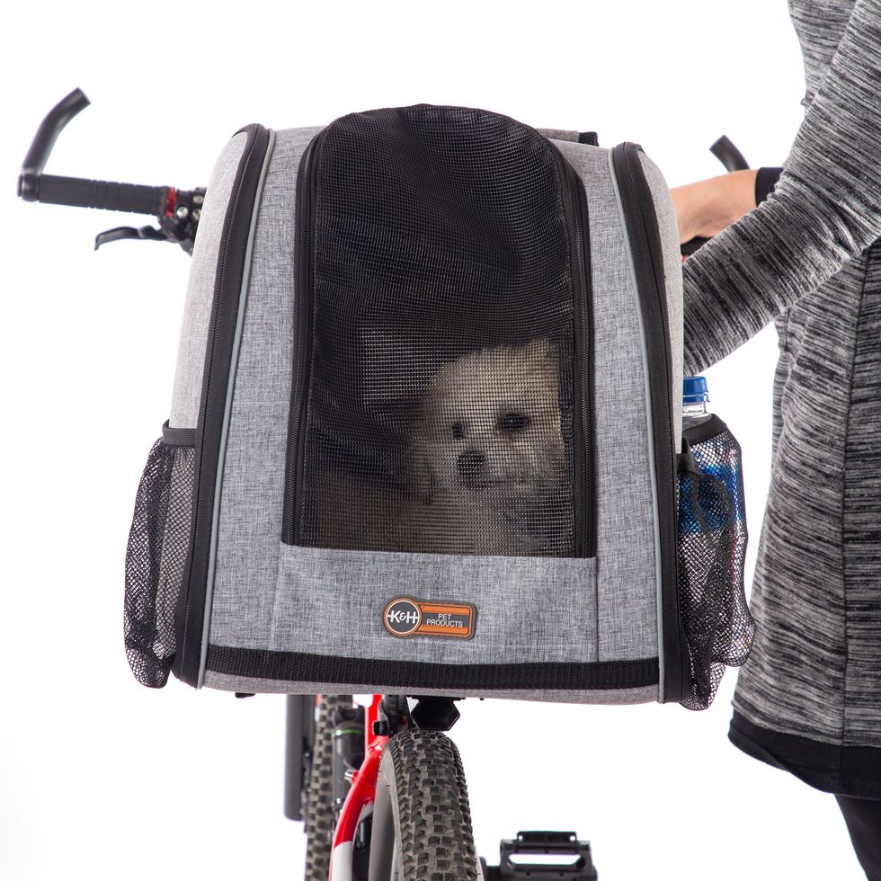 10 Best Dog Carriers of 2024 - Dog Backpack, Tote & Sling Reviews