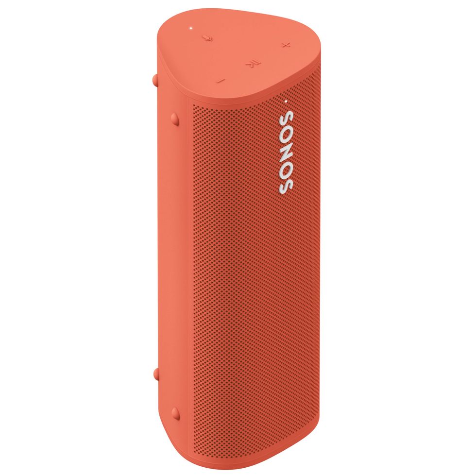 Roam Portable Smart Speaker