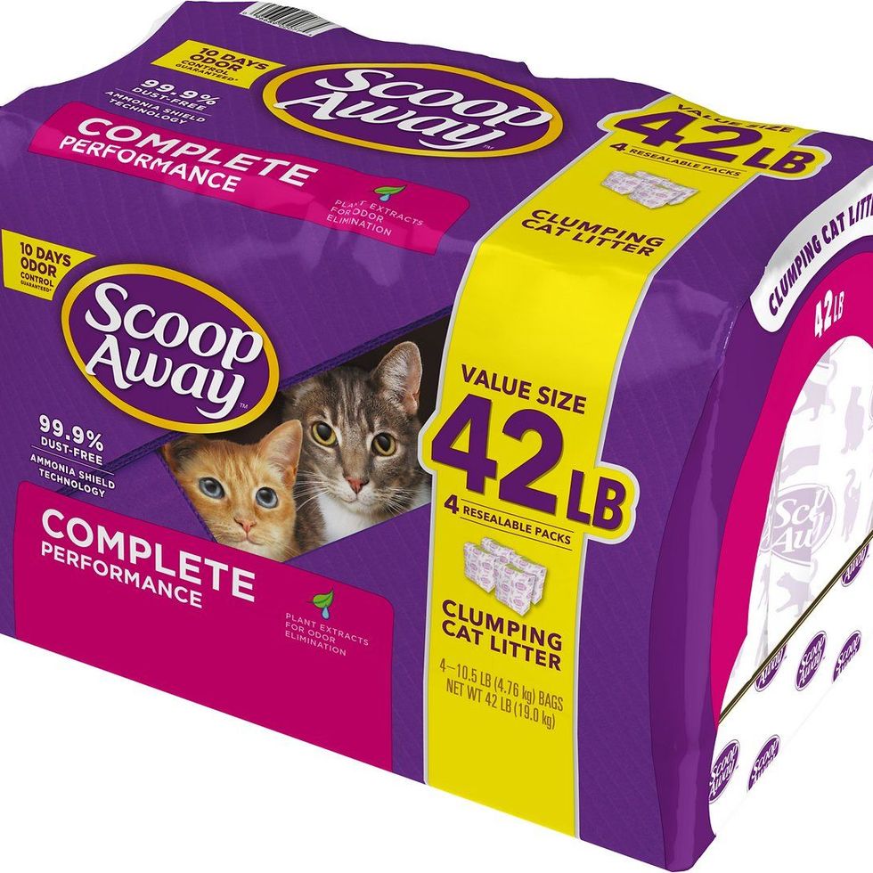 The 11 Best Cat Litters of 2024, Tested and Reviewed