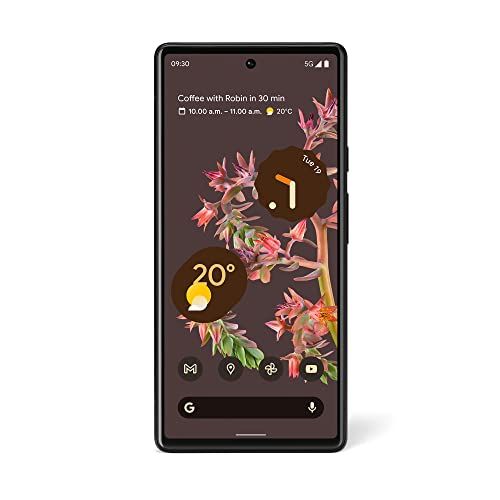 Google Pixel 6 (128 GB in Stormy Black) - £449 for all