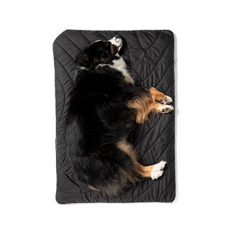Rumpl The Travel Dog Bed Rumpl The Travel Dog Bed