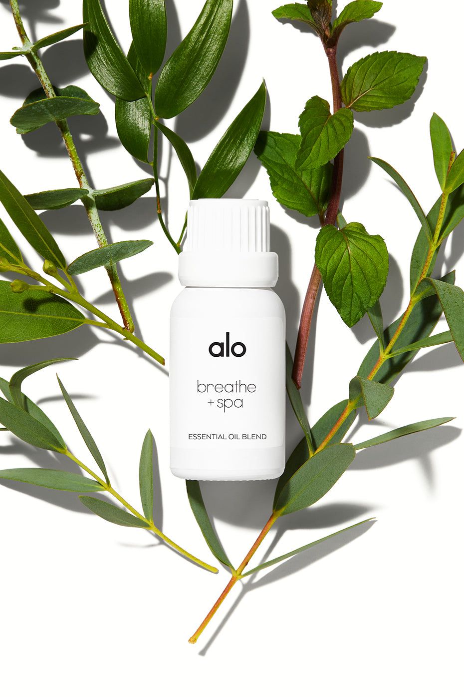 The Best Under 100 Essential Oil Diffuser From Alo Yoga