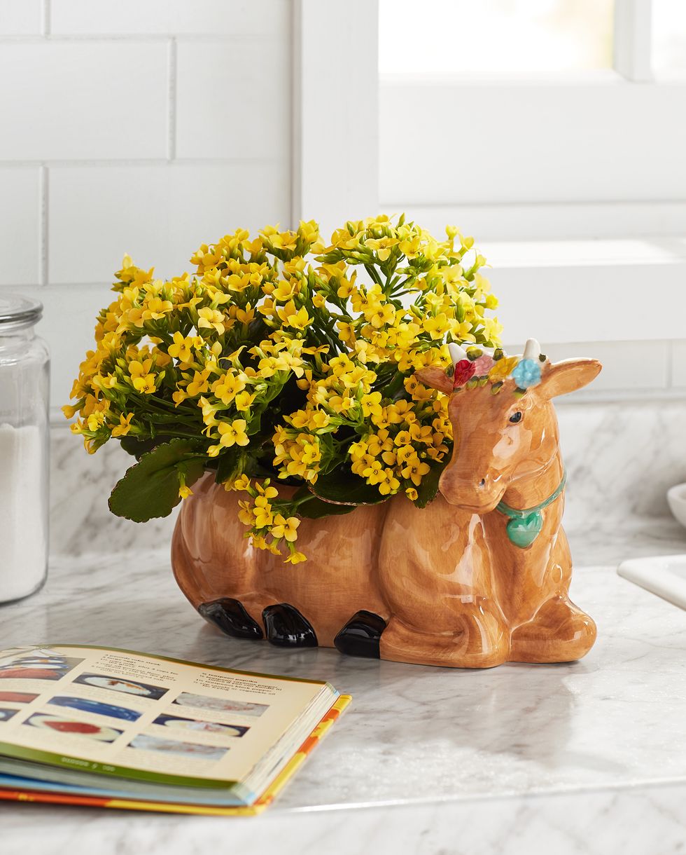 The Pioneer Woman Brown Cow Planter