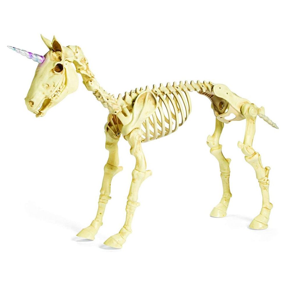 Unicorn Skeleton