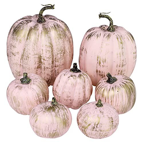 Winlyn Gold-Brushed Pink Pumpkins