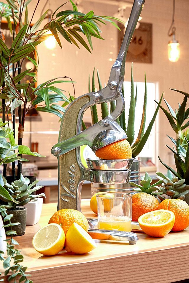 Lemonade juicer hotsell