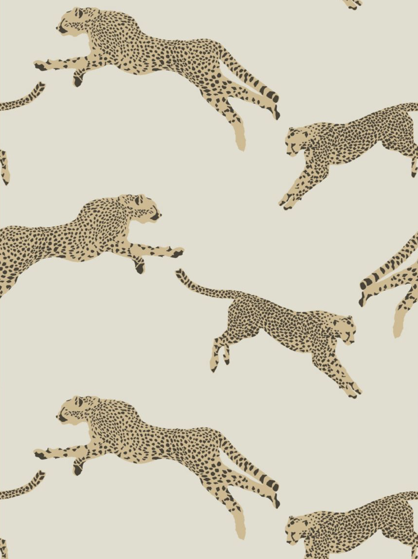Leaping Cheetah Wallpaper