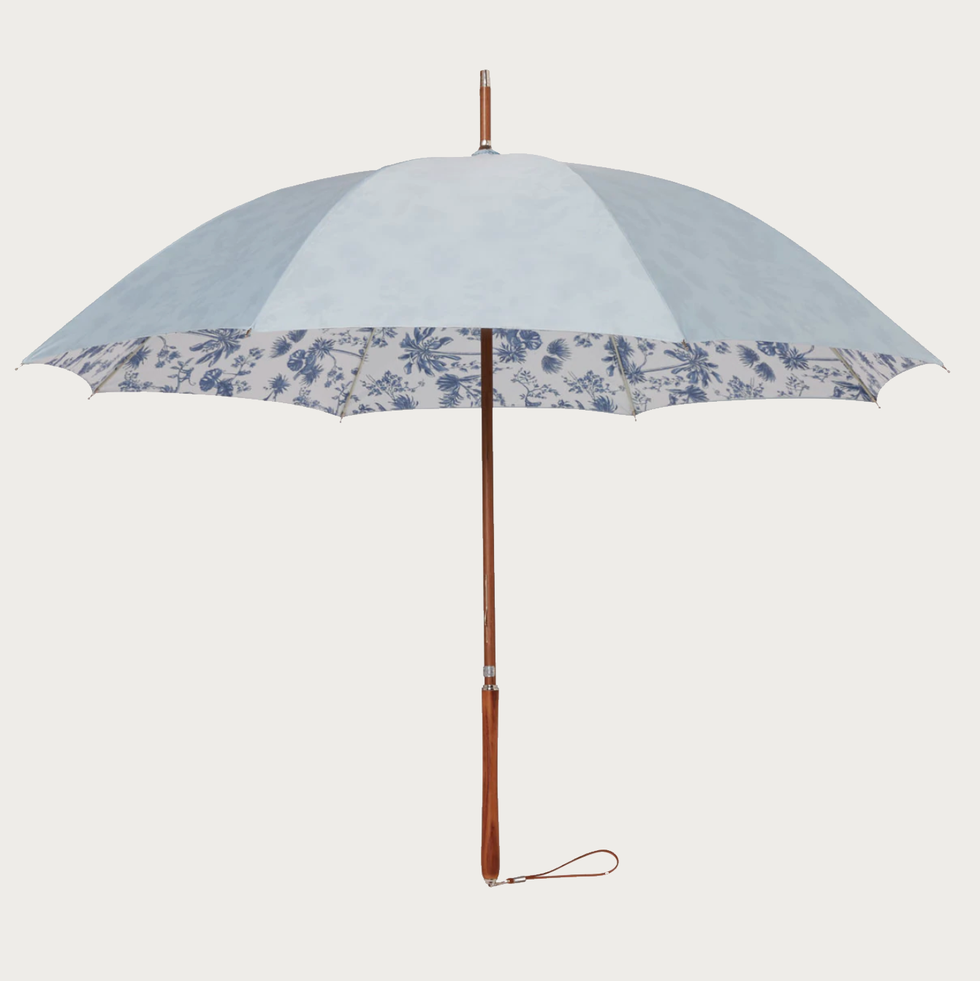 Rain Umbrella in Blue Chinoiserie