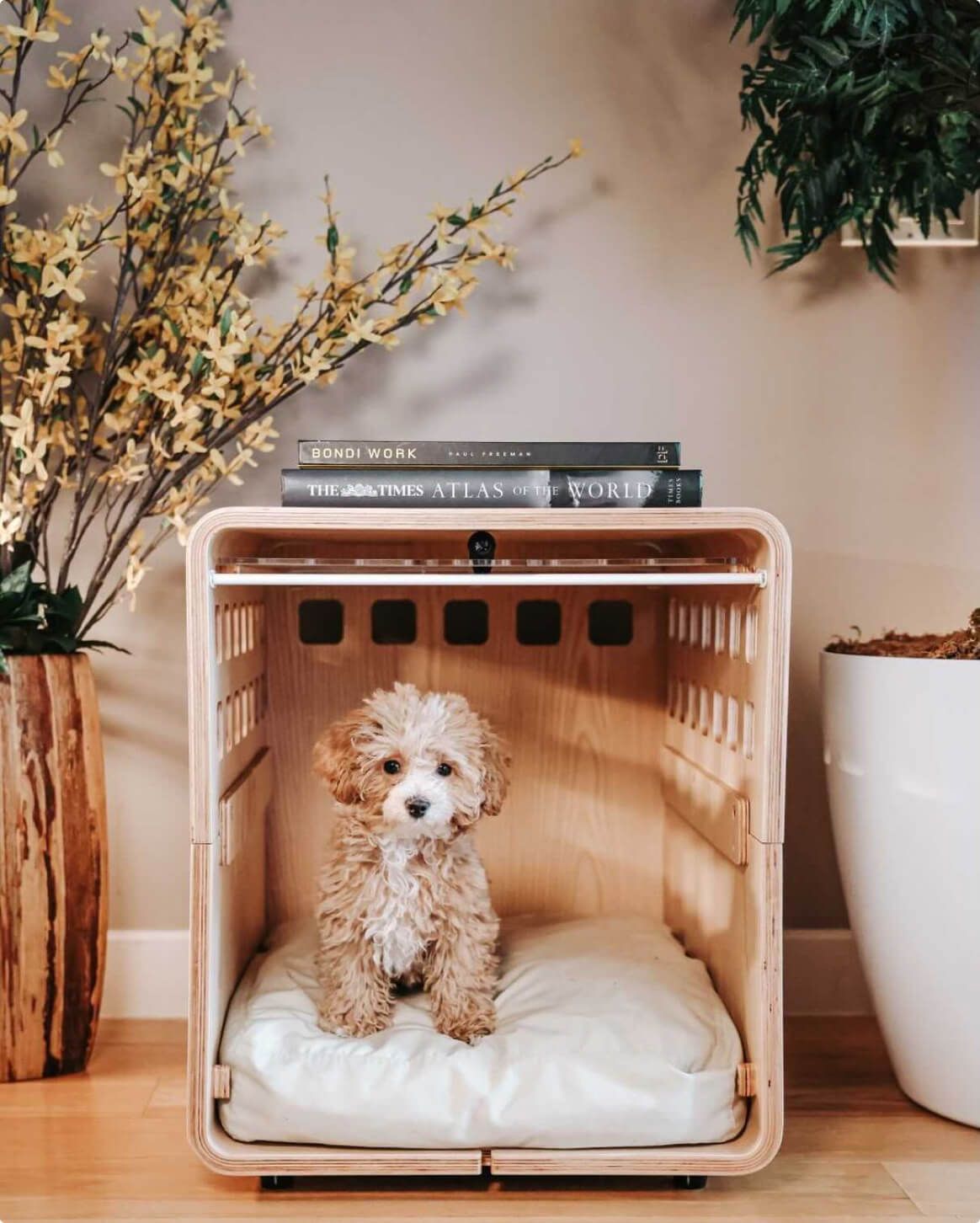 13 Best Luxury Pet Products to Spoil Your Furry Friend