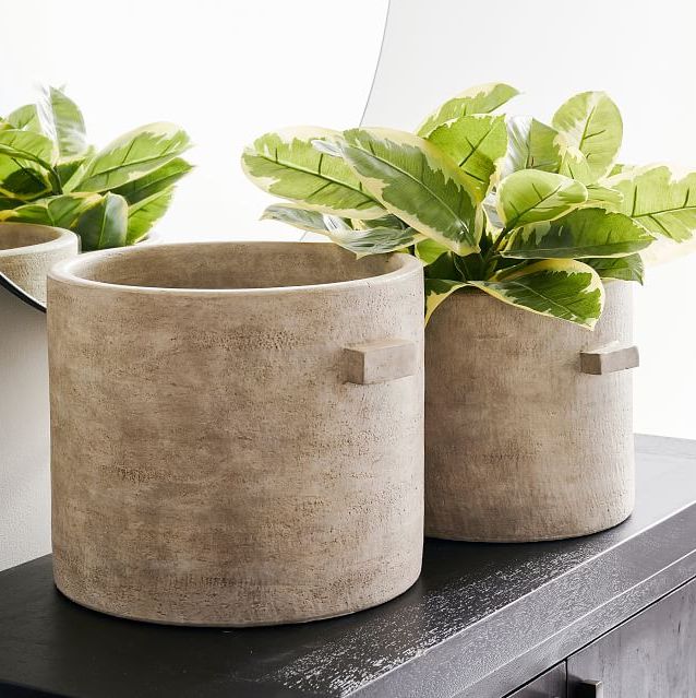 Best Decorative Flower Pots and Planters to Buy Now