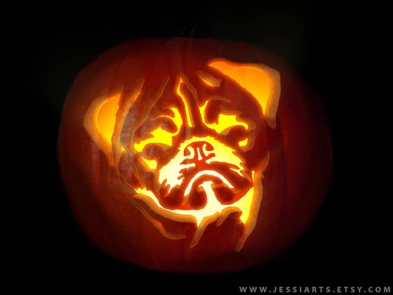 bulldog pumpkin stencil