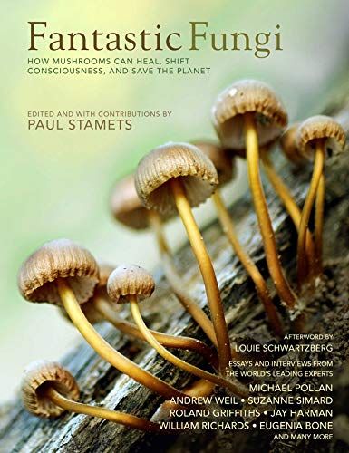 <em>Fantastic Fungi: Expanding Consciousness, Alternative Healing, Environmental Impact</em>, edited by Paul Stamets