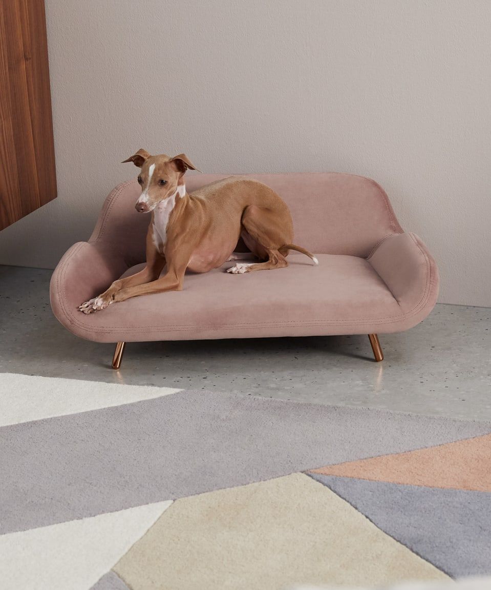 Made cama perro best sale