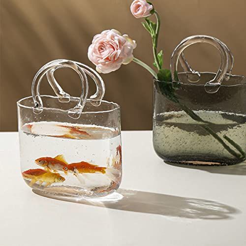 Shop the Viral Glass Bag Vase 2023 on  and
