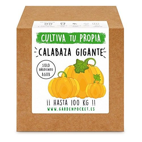Kit de cultivo para calabazas gigantes