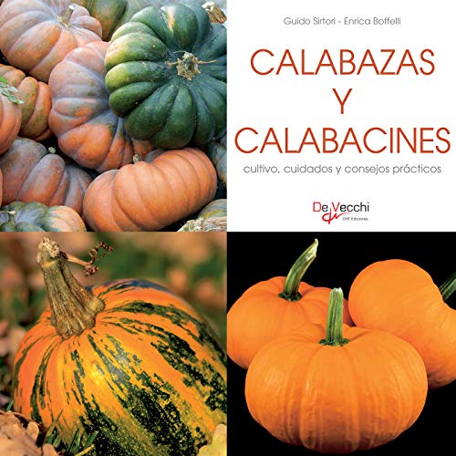 Calabazas y calabacines: cultivo, cuidados y consejos