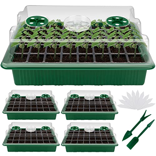 Semilleros, bandejas de cultivo