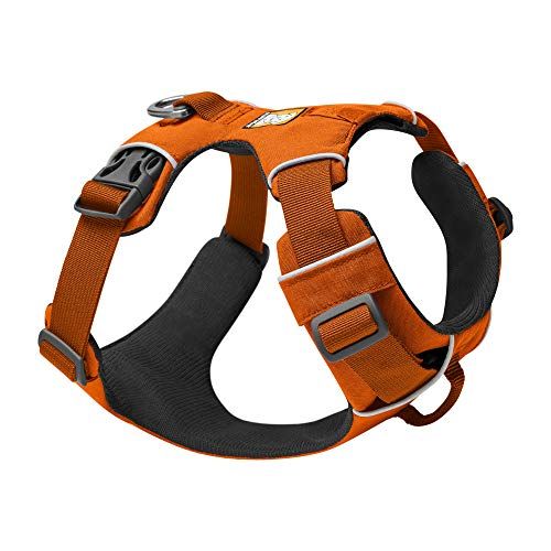 Best non sale pull harness