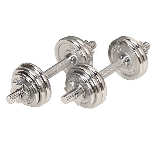 33 lb Chrome Dumbbell Set