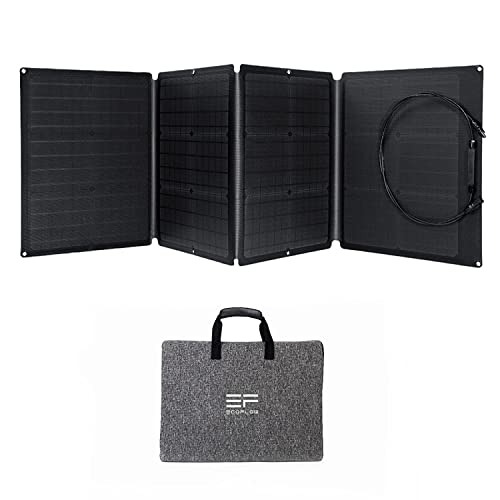 Panel solar portátil EF ECOFLOW 160W