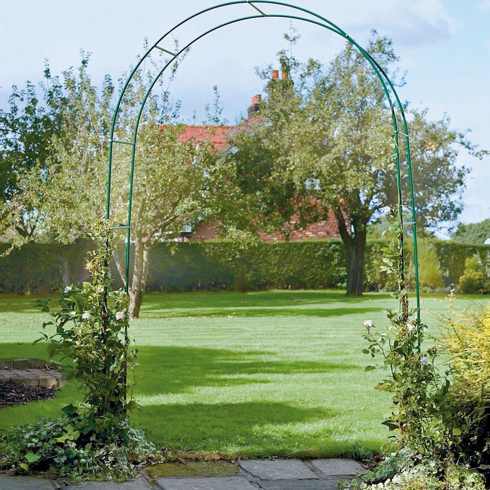 Steel Garden Rose Arch, £13.33