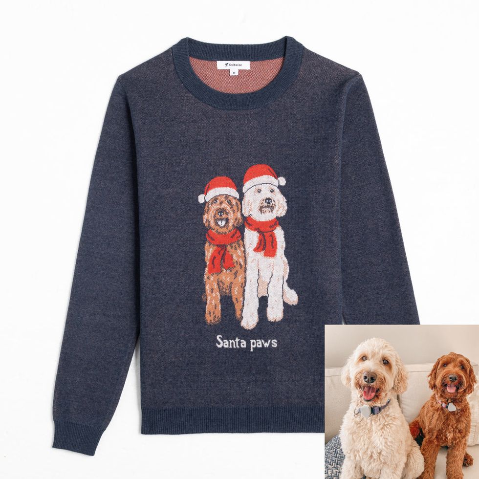 Custom Pet Sweater