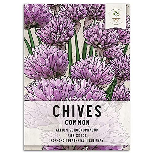 Seed Needs Common Chives Herb 