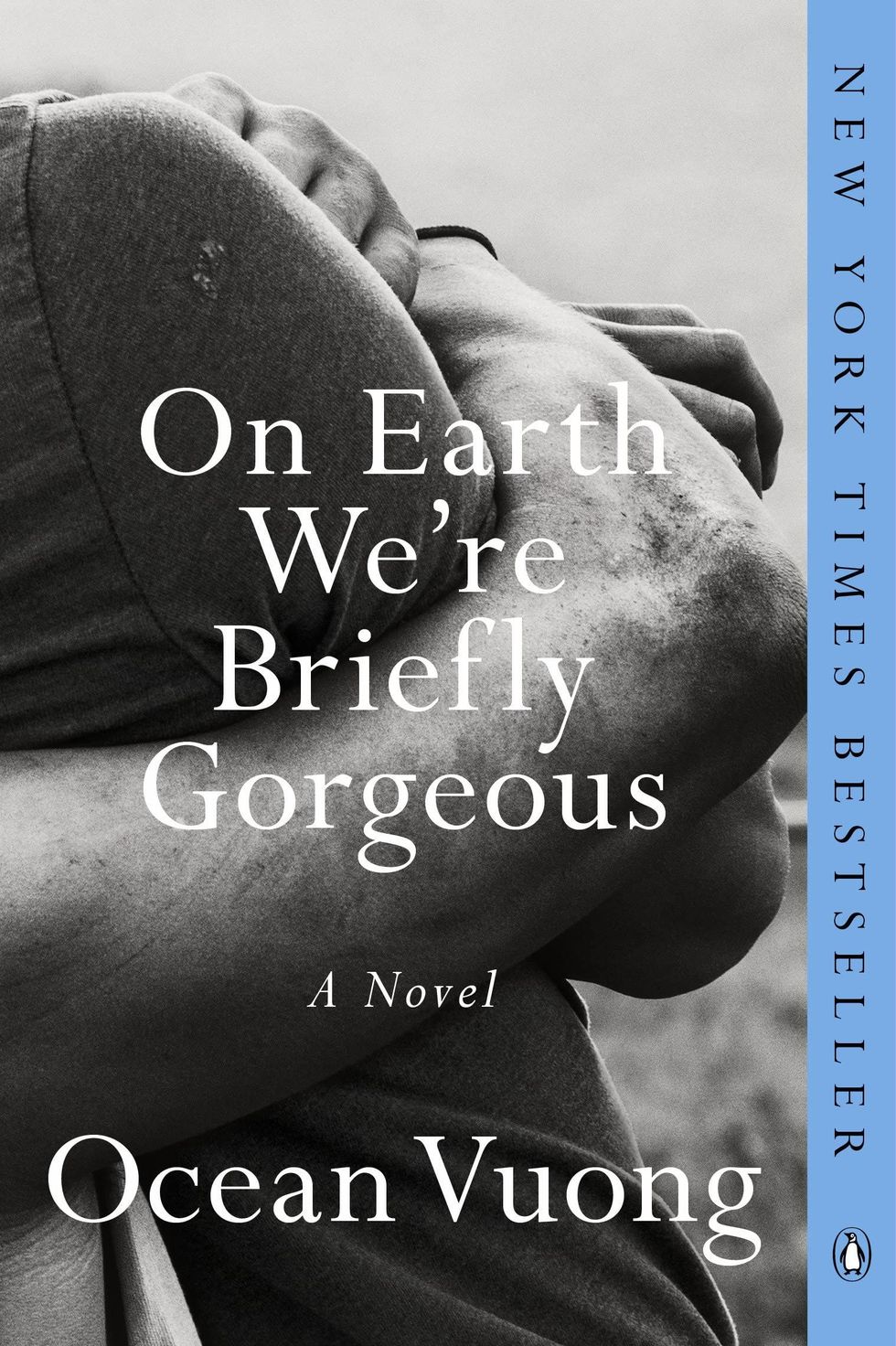 <i>On Earth We’re Briefly Gorgeous</i>, by Ocean Vuong