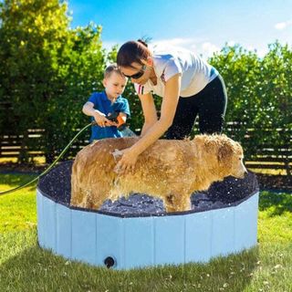 PawHut Pet Pool Indoor and Outdoor Pool 