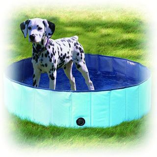Pawise Dogs Paddling Pool - Medium
