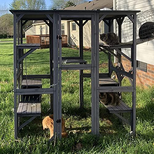 Outdoor Cat Enclosure 
