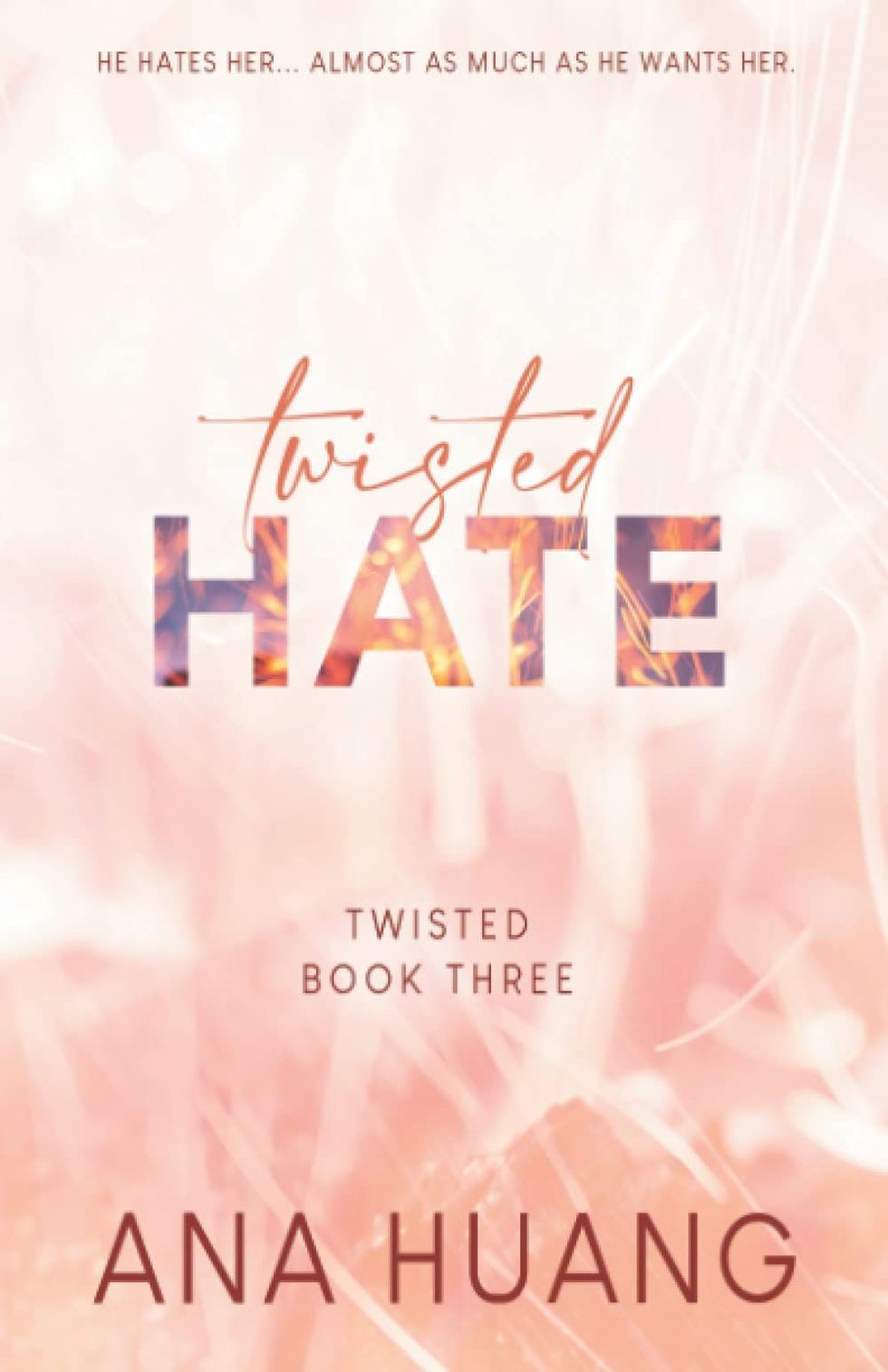 <i>Twisted Hate</i>, by Ana Huang