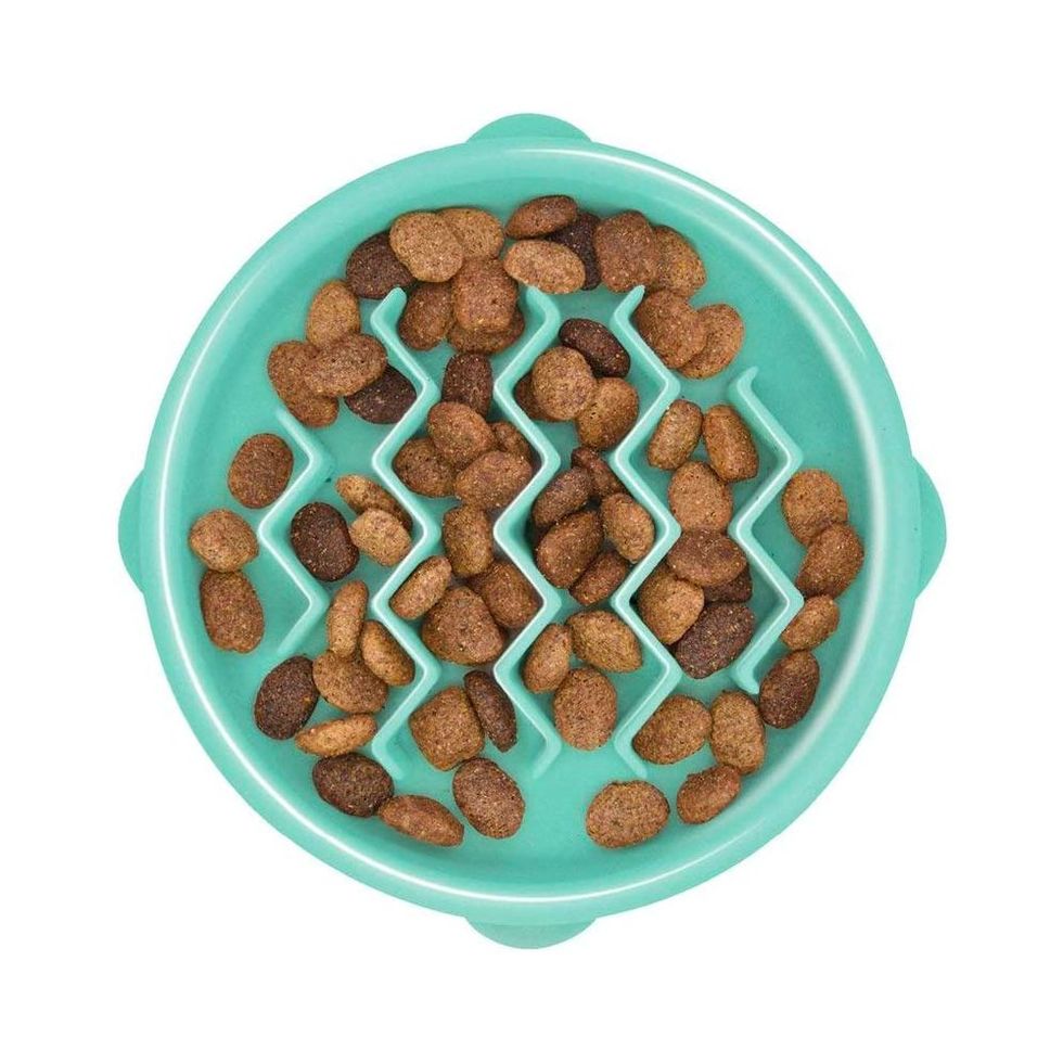 Outward Hound Fun Feeder Bowls Can Be Good for Dogs Who Eat Too Fast