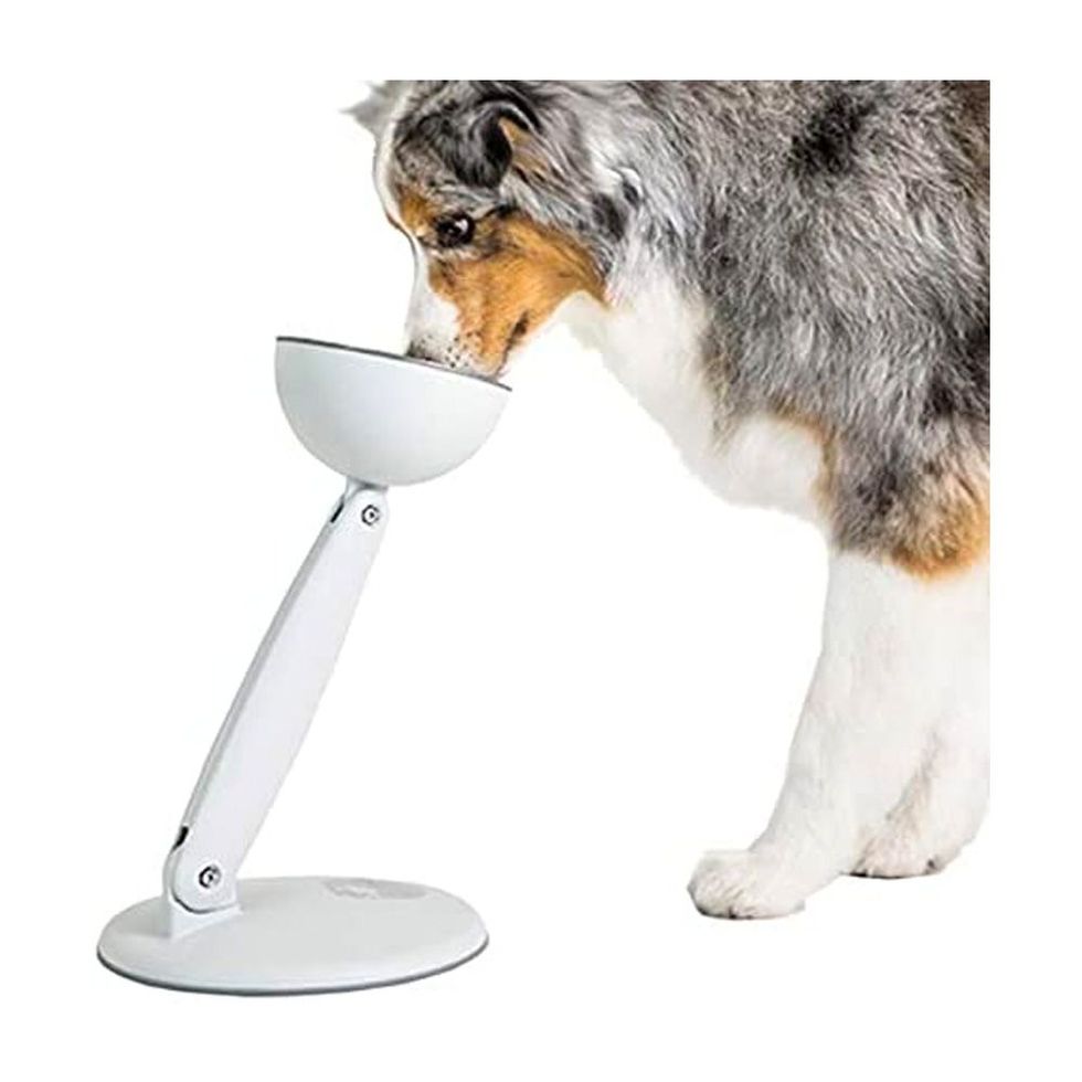 Our Pets Big Dog Feeder Elevated Dog Bowls-16 inch (Great Elevated