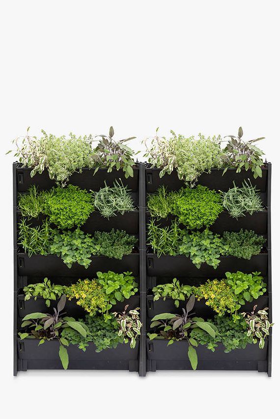 The Little Botanical 40 Herbs Outdoor Living Wall Trough