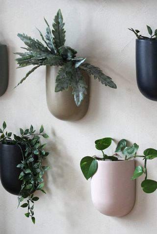 Tall Colourful Wall Planters