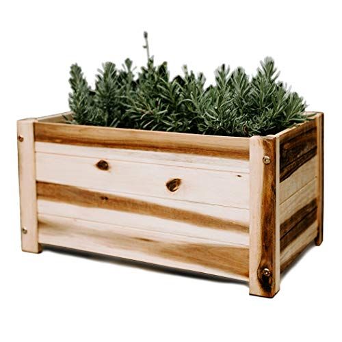 Wooden Planter Box