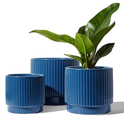 20 Best Indoor Plant Pots Of 2024 Planters For Houseplants   1656345925 41d5NY1iCtL. SL500  