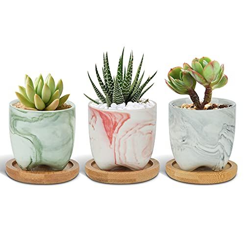 20 Best Indoor Plant Pots Of 2024 Planters For Houseplants   1656346382 41ivfTbO8eL. SL500  