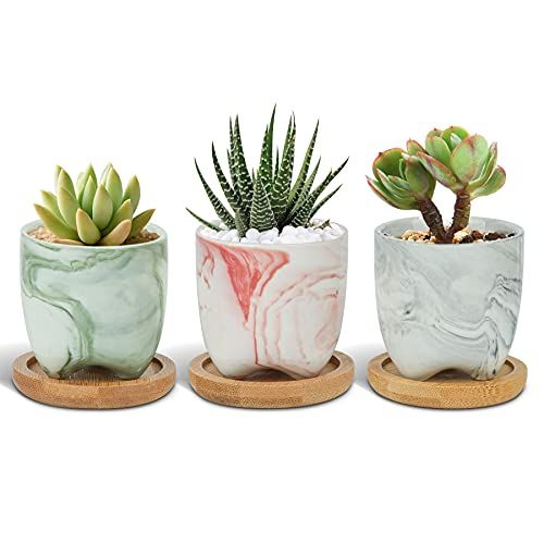  Multi-Color Ceramic Planter Pots 