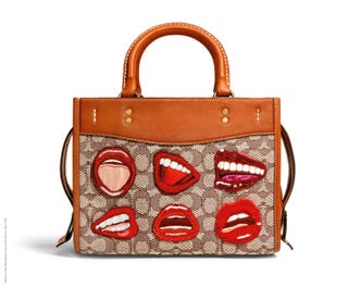 Coach X Tom Wesselmann Rogue 25